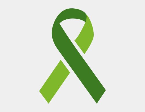 Mental health first aid (2day)